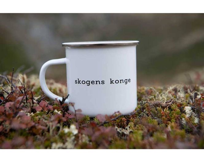Hovedbilde Blikk i Naturen Emaljekopp, Elg